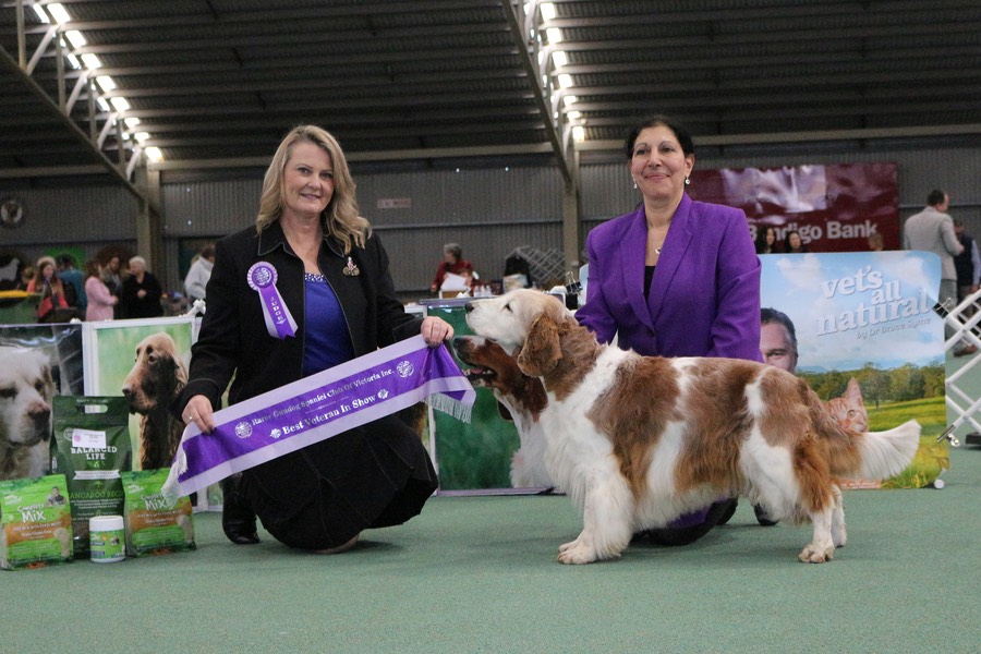 RGSC 2017 open show Duke VIS IMG_4842